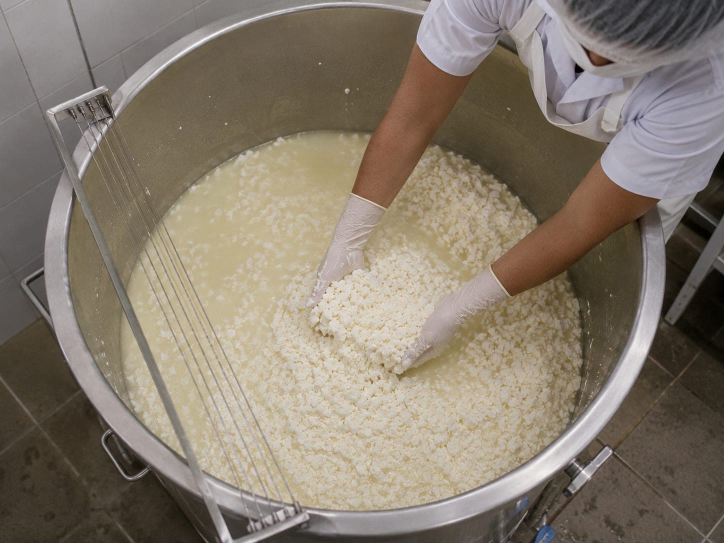 Manos con guantes trabajando la cuajada fresca dentro de una tina de acero inoxidable