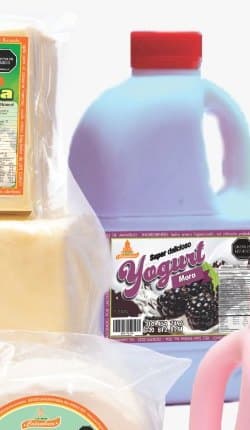 Yogurt Entero con Mora, presentación 1000 g