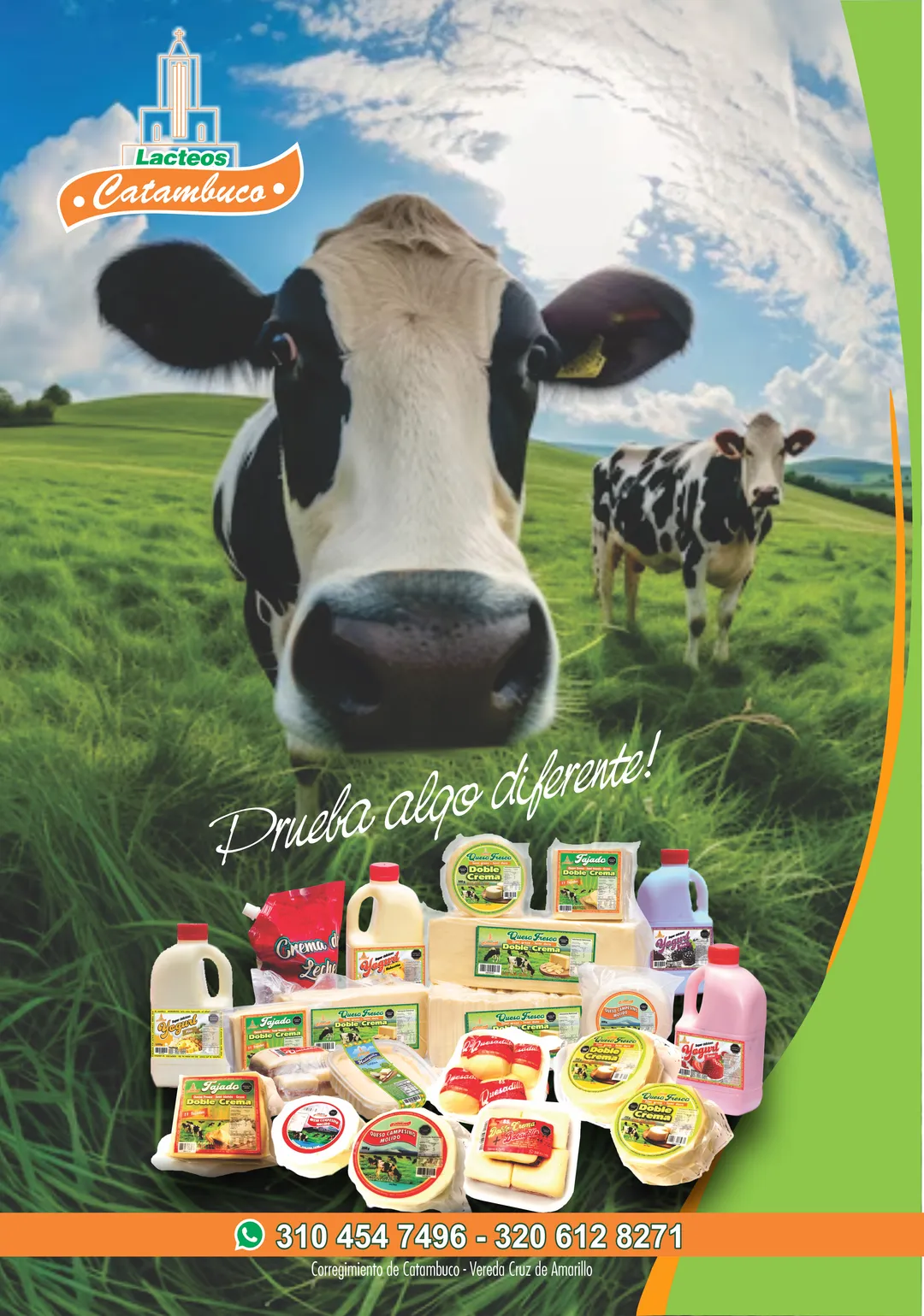 Afiche de Lácteos Catambuco: una vaca Holstein en una pradera de Nariño y, delante, quesos, yogures, mantequilla, quesadillos y crema de leche de la marca, con los teléfonos 310 454 7496 y 320 612 8271